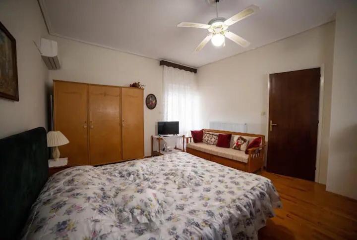 Apartmán Loft House Trikala Exteriér fotografie